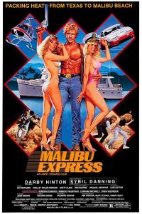 18+ Malibu Express (1985) UNRATED Hindi Dubbed Dual Audio 480p [315MB] | 720p [946MB] Download