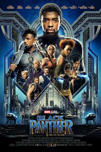Download Black Panther (2018) BluRay Hindi Dubbed Dual Audio 480p [420MB] | 720p [1.1GB]