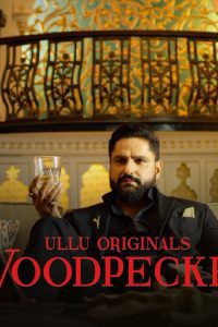 18+ Woodpecker Part 1-2 (2020) Hindi Season 1 ULLU Web Series 480p 720p Download