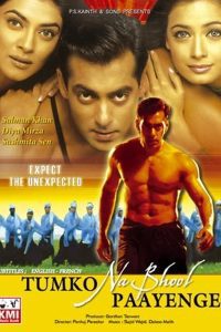 Tumko Na Bhool Paayenge (2002) Hindi Full Movie Download WEB-DL 480p 720p 1080p