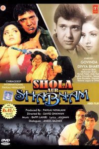 Shola Aur Shabnam (1992) Hindi Full Movie Download WEB-DL 480p 720p 1080p
