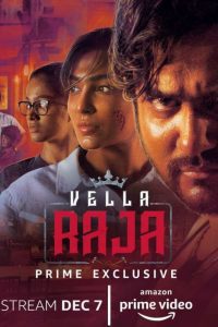 Vella Raja (2018) Season 1 Hindi Complete Amazon Prime Video WEB Series Download 480p 720p  
