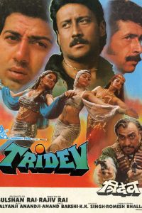 Tridev (1989) Hindi Full Movie Download DVDRip 480p 720p 1080p