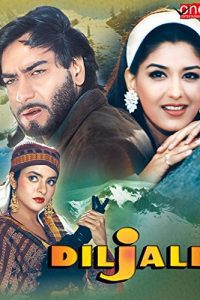 Diljale (1996) Hindi Movie Download WeB-DL 480p 720p 1080p