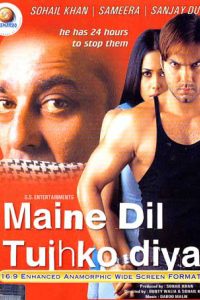 Maine Dil Tujhko Diya (2002) Hindi Full Movie Download 480p 720p 1080p