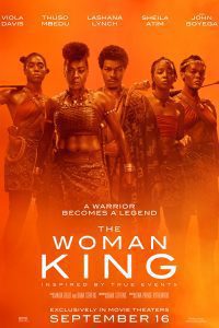 The Woman King (2022) BluRay Dual Audio [Hindi ORG + English] Full Movie 480p 720p 1080p