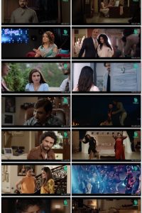 Baaji (2019) Full Urdu Movie 480p 720p 1080p Download