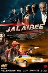 Jalaibee (2015) Urdu Full Movie 480p 720p 1080p Download