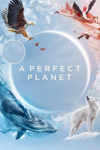 A perfect Planet (2021) Season 1 Dual Audio {Hindi-English} Web Series 480p 720p Download