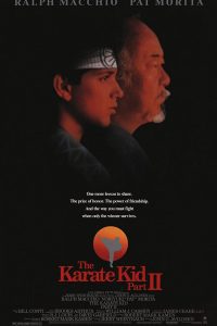 The Karate Kid Part 2 (1986) Dual Audio {Hindi-English} Movie 480p 720p 1080p
