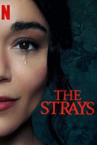 The Strays – Netflix Original (2023) WEB-DL Dual Audio {Hindi-English} Movie 480p 720p 1080p