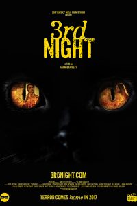 3rd Night (2017) WEB-DL Dual Audio {Hindi-English} Movie 480p 720p 1080p