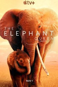 The Elephant Queen (2019) WEB-DL Dual Audio {Hindi-English} Movie 480p 720p 1080p