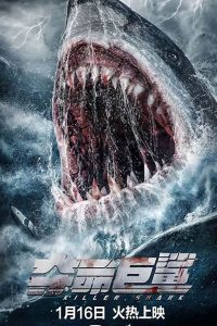 Killer Shark (2021) Dual Audio [Hindi + English] Full Movie 480p 720p 1080p