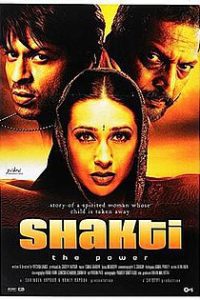 Shakti: The Power (2002) Hindi Full Movie 480p 720p 1080p