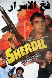 Sher Dil 1990 Full Movie 480p 720p 1080p