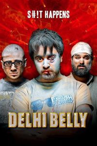 Download Delhi Belly 2011 Hindi Full Movie 480p 720p 1080p