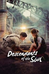 Download Descendants of the Sun (2016) Hindi Org Dub +Korean Season 1 Complete Series 480p 720p 1080p