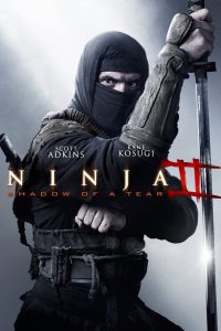 Download Ninja: Shadow of a Tear (2013) Dual Audio {Hindi-English} Bluray Full Movie 480p 720p 1080p