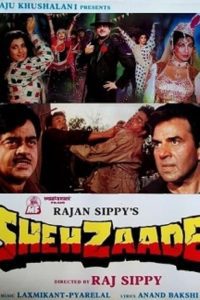 Download Shehzaade (1989) Hindi Full Movie 480p 720p 1080p
