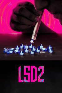 Download LSD 2 – Love Sex Aur Dhokha 2 2024 Hindi HDTS Full Movie 480p 720p 1080p